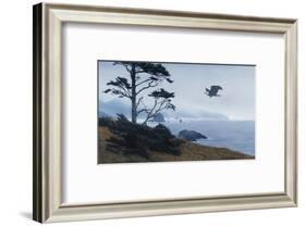 In From the Storm-Terry Isaac-Framed Art Print