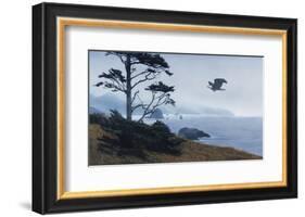 In From the Storm-Terry Isaac-Framed Art Print