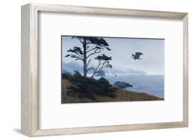 In From the Storm-Terry Isaac-Framed Art Print