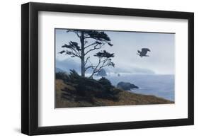 In From the Storm-Terry Isaac-Framed Art Print
