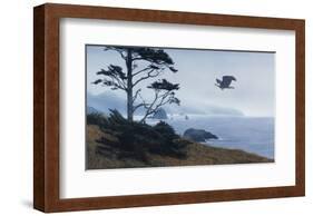 In From the Storm-Terry Isaac-Framed Art Print