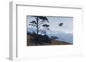 In From the Storm-Terry Isaac-Framed Art Print