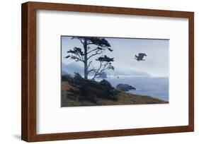 In From the Storm-Terry Isaac-Framed Art Print