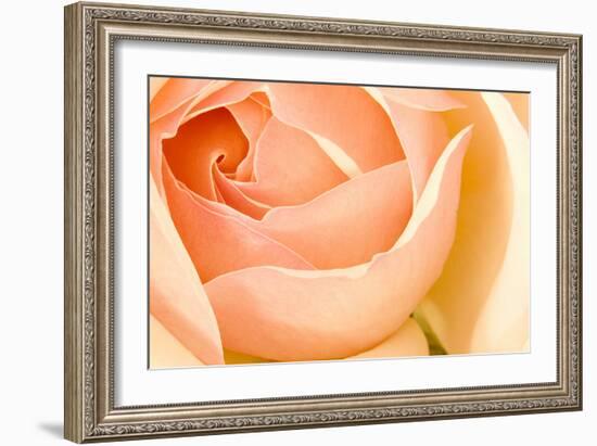 In Full Bloom I-Karyn Millet-Framed Photographic Print