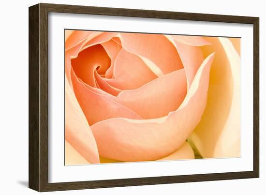 In Full Bloom I-Karyn Millet-Framed Photographic Print