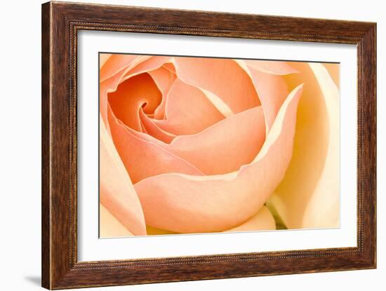 In Full Bloom I-Karyn Millet-Framed Photographic Print