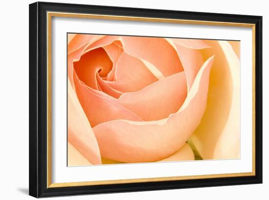 In Full Bloom I-Karyn Millet-Framed Photographic Print