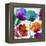 In Full Bloom I-Vanessa Austin-Framed Stretched Canvas