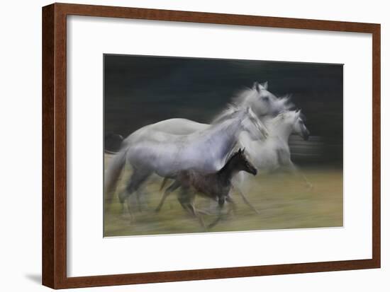 In Gallop-Milan Malovrh-Framed Giclee Print