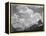 In Glacier National Park Montana 1933-1942-Ansel Adams-Framed Stretched Canvas