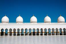 Five Domes of Sheikh Zayed Mosque in Abu Dhabi-In Green-Photographic Print