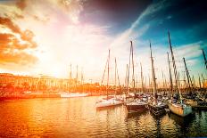 Sea Bay with Yachts at Sunset-In Green-Photographic Print