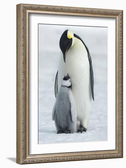 In Harmony-Frank Krahmer-Framed Giclee Print