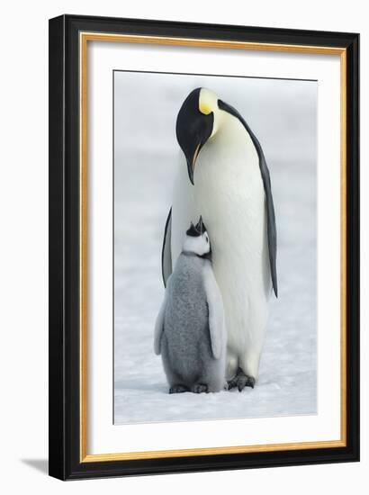 In Harmony-Frank Krahmer-Framed Giclee Print