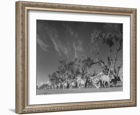 In Heavy-Wheeled Carts, Refugees Making their Way to India-Margaret Bourke-White-Framed Photographic Print