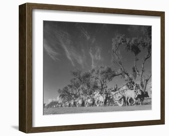 In Heavy-Wheeled Carts, Refugees Making their Way to India-Margaret Bourke-White-Framed Photographic Print