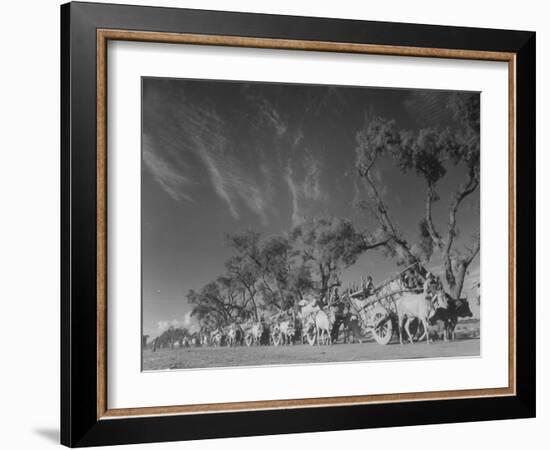 In Heavy-Wheeled Carts, Refugees Making their Way to India-Margaret Bourke-White-Framed Photographic Print