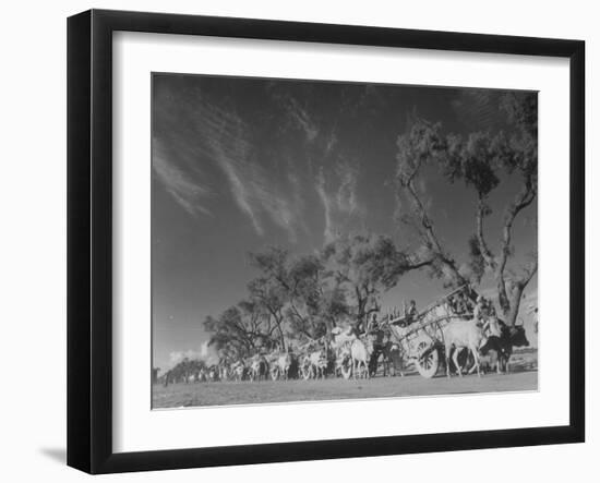 In Heavy-Wheeled Carts, Refugees Making their Way to India-Margaret Bourke-White-Framed Photographic Print