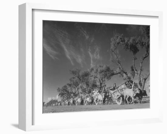 In Heavy-Wheeled Carts, Refugees Making their Way to India-Margaret Bourke-White-Framed Photographic Print