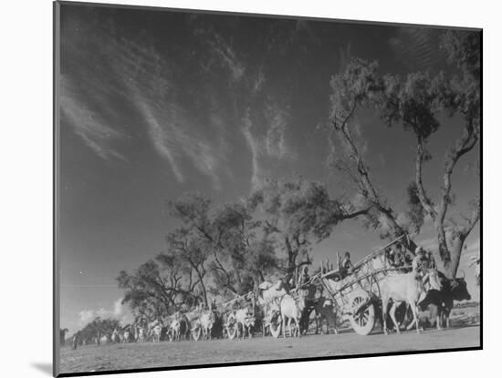 In Heavy-Wheeled Carts, Refugees Making their Way to India-Margaret Bourke-White-Mounted Photographic Print