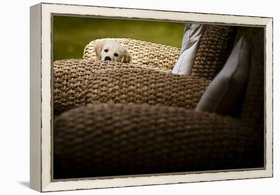 In Hiding-Valda Bailey-Framed Premier Image Canvas