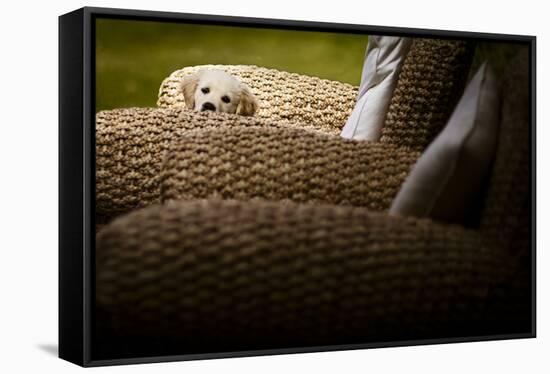 In Hiding-Valda Bailey-Framed Premier Image Canvas