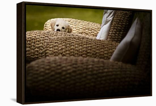 In Hiding-Valda Bailey-Framed Premier Image Canvas