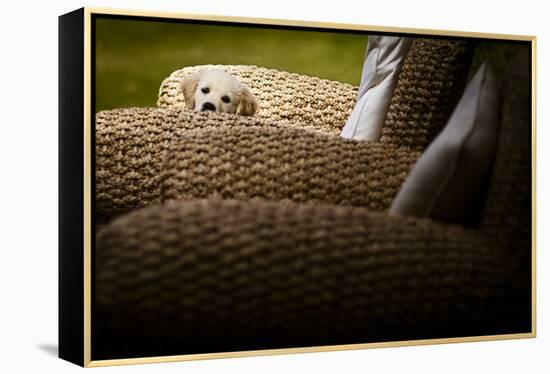 In Hiding-Valda Bailey-Framed Premier Image Canvas