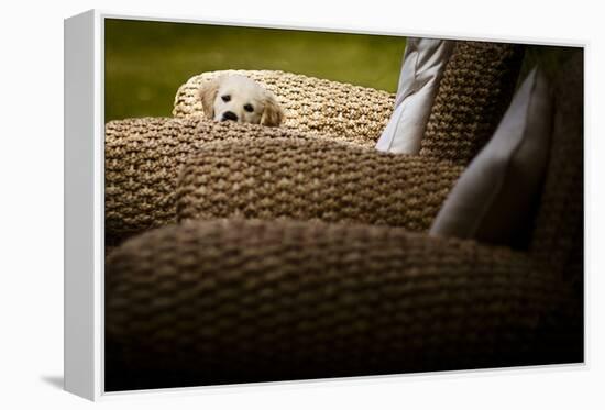 In Hiding-Valda Bailey-Framed Premier Image Canvas