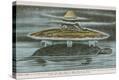 Stretched Canvas Print