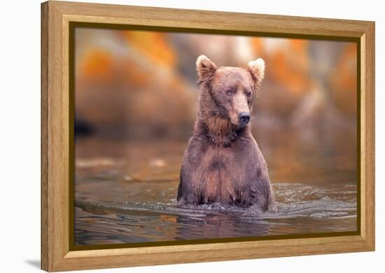 In Lake-Robert Zhang-Framed Premier Image Canvas