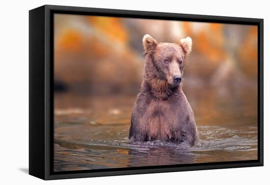 In Lake-Robert Zhang-Framed Premier Image Canvas