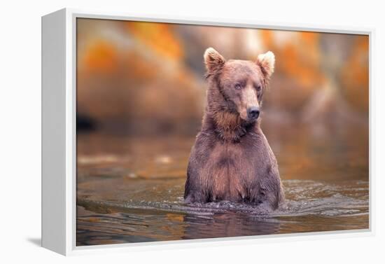 In Lake-Robert Zhang-Framed Premier Image Canvas