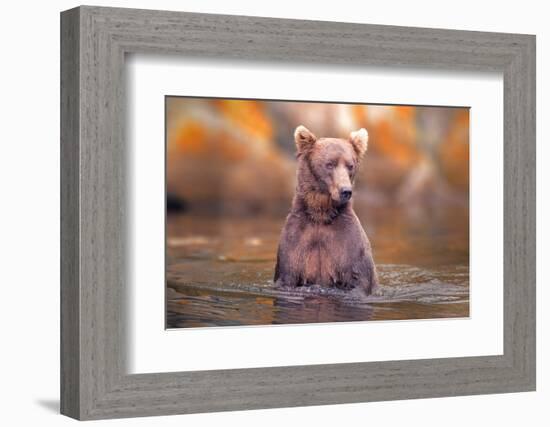 In Lake-Robert Zhang-Framed Photographic Print