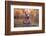 In Lake-Robert Zhang-Framed Photographic Print