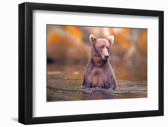 In Lake-Robert Zhang-Framed Photographic Print