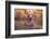 In Lake-Robert Zhang-Framed Photographic Print