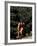 In-line Skating, Boulder, Colorado, USA-Lee Kopfler-Framed Photographic Print