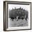 In Liverpool, a Lollipop Lady Helps Children Cross a Cobbled Street-Henry Grant-Framed Photographic Print