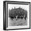 In Liverpool, a Lollipop Lady Helps Children Cross a Cobbled Street-Henry Grant-Framed Photographic Print