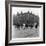 In Liverpool, a Lollipop Lady Helps Children Cross a Cobbled Street-Henry Grant-Framed Photographic Print