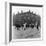 In Liverpool, a Lollipop Lady Helps Children Cross a Cobbled Street-Henry Grant-Framed Photographic Print