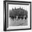 In Liverpool, a Lollipop Lady Helps Children Cross a Cobbled Street-Henry Grant-Framed Photographic Print