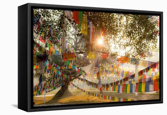 In Lumbini, Nepal, the Birthplace of the Buddha., 2012 (Photo)-Ira Block-Framed Premier Image Canvas