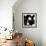 In Motion VI-Natasha Barnes-Framed Premium Giclee Print displayed on a wall