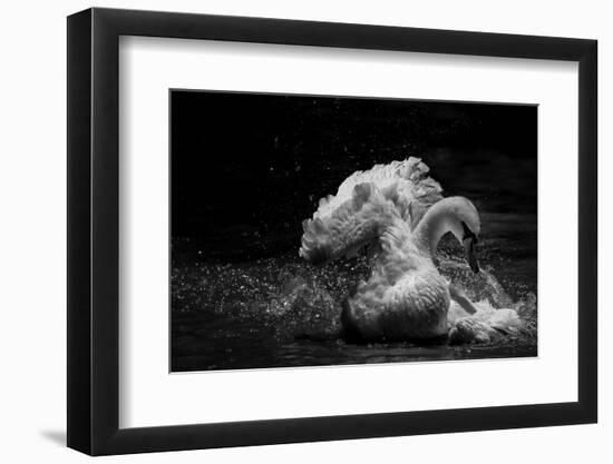 In Motion-C.S. Tjandra-Framed Photographic Print