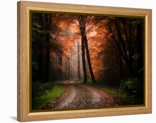 In My Dreams-Philippe Manguin-Framed Premier Image Canvas