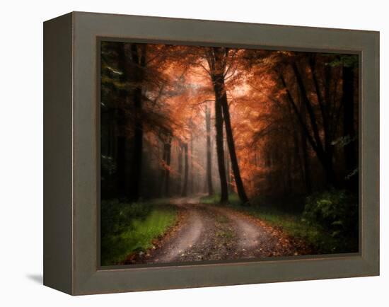 In My Dreams-Philippe Manguin-Framed Premier Image Canvas