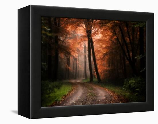 In My Dreams-Philippe Manguin-Framed Premier Image Canvas