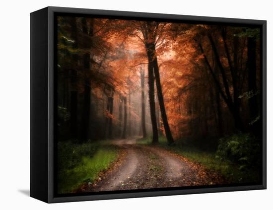 In My Dreams-Philippe Manguin-Framed Premier Image Canvas